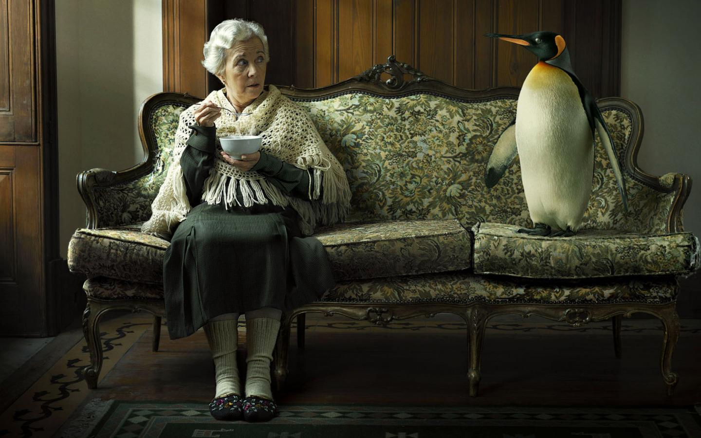 Женщина и пингвин на диване 1440x900