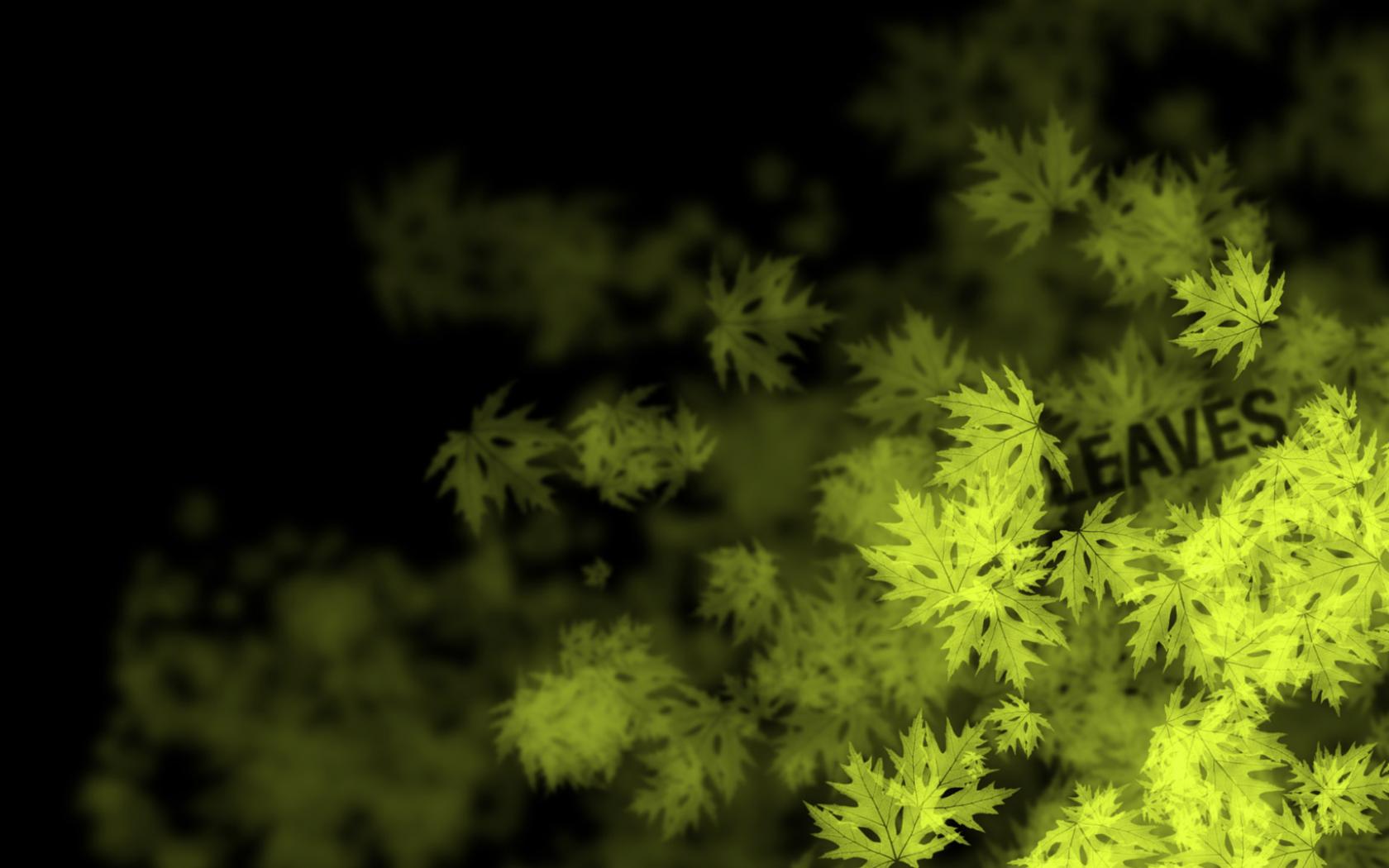 С зелеными листьями, абстрактные 1680x1050