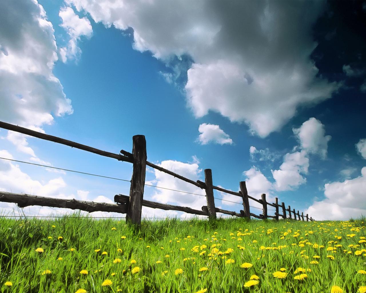 Деревянный забор, одуванчики и облачное небо - отличные 1280x1024