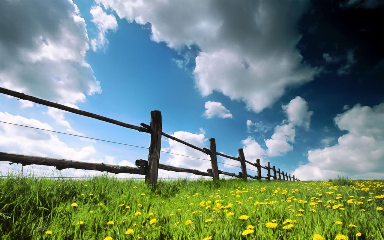 Деревянный забор, одуванчики и облачное небо - отличные 1280x800