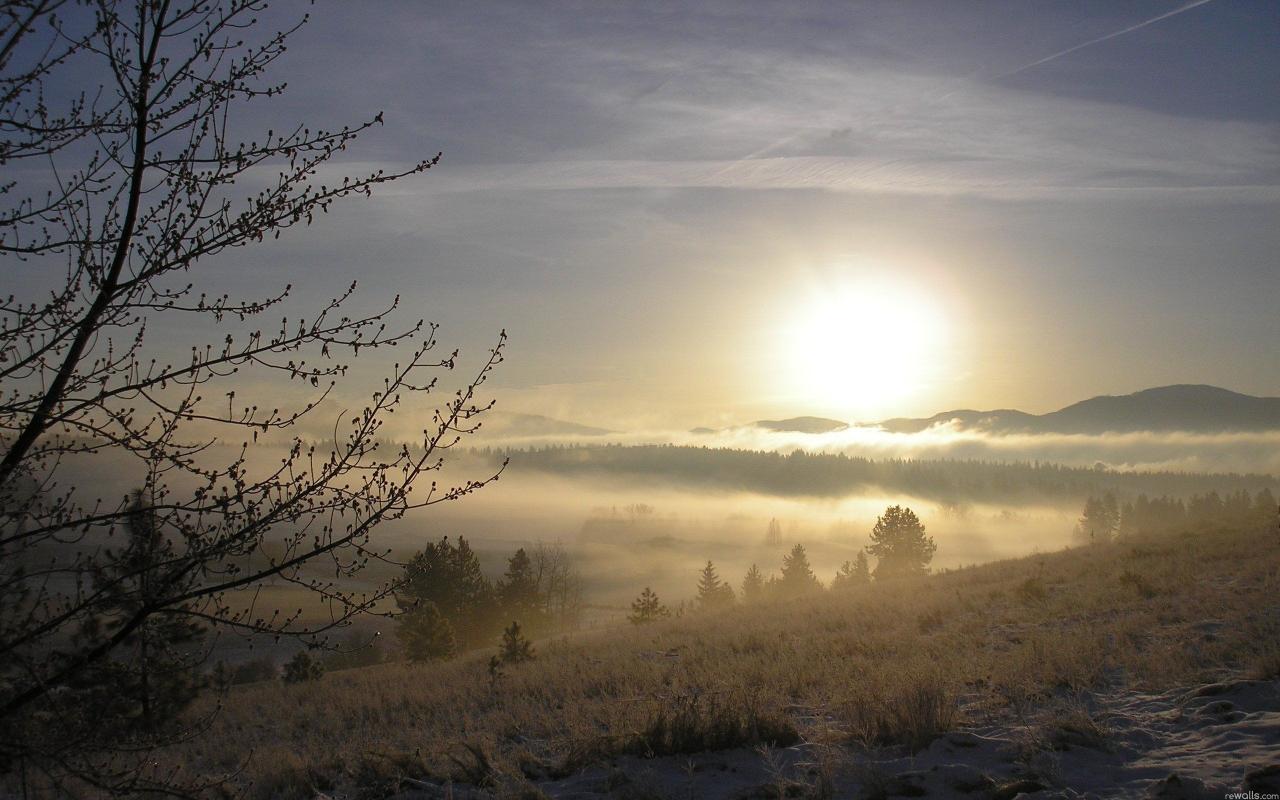 Пейзаж, зима, снег, дерево, ветки, солнце, туман 1280x800