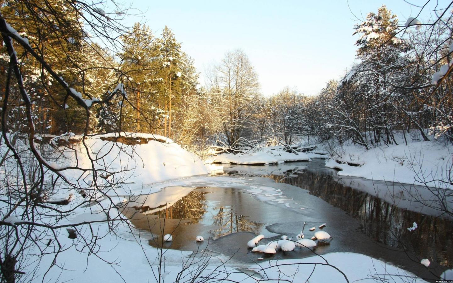 Таяние снега, весенний ручей в лесу 1440x900