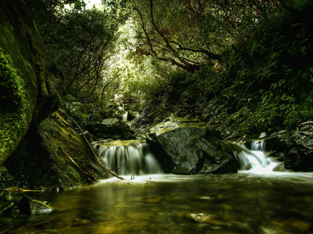Лес, река, зелень, водопадик, особенная фотография 1024x768