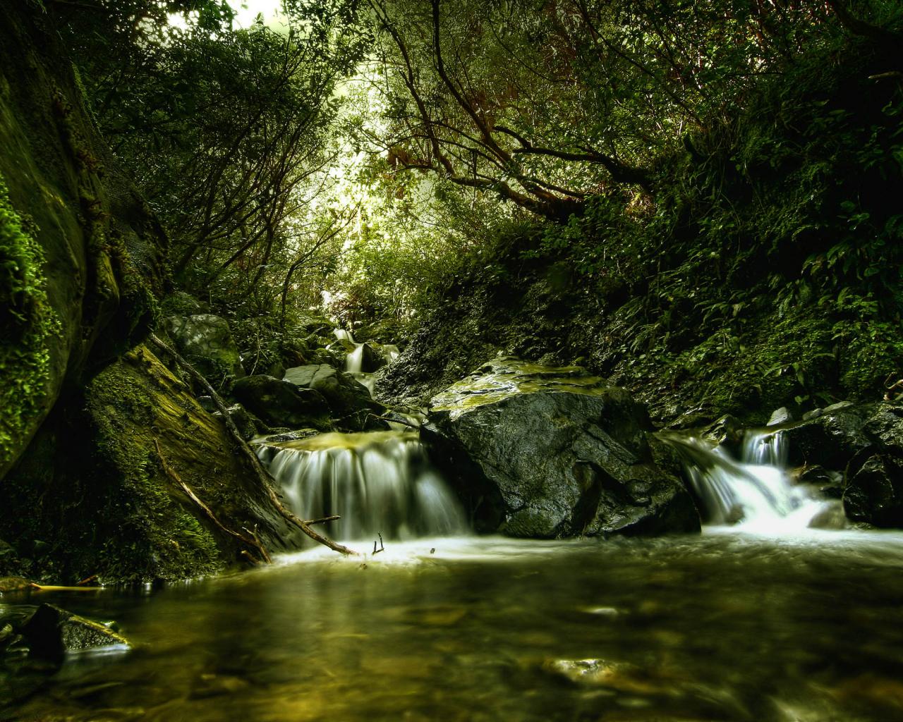 Лес, река, зелень, водопадик, особенная фотография 1280x1024