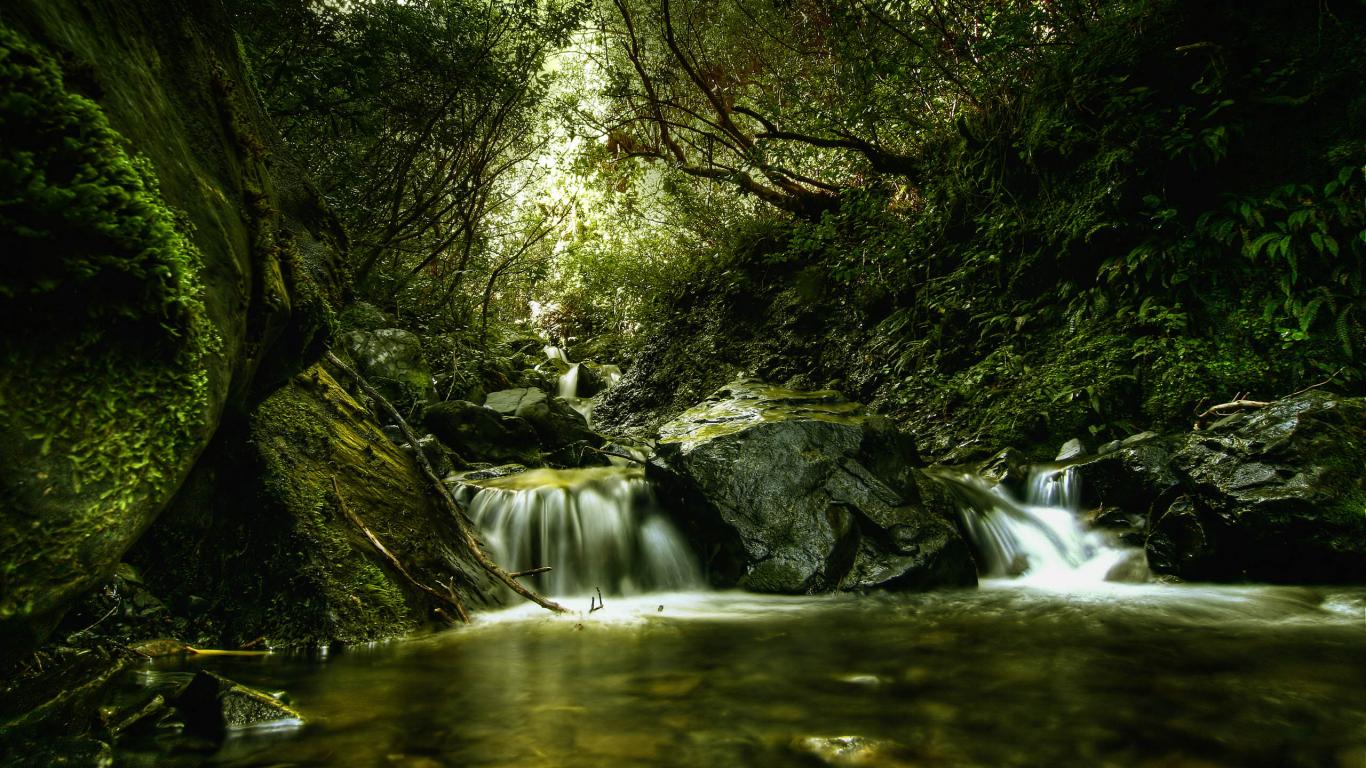 Лес, река, зелень, водопадик, особенная фотография 1366x768