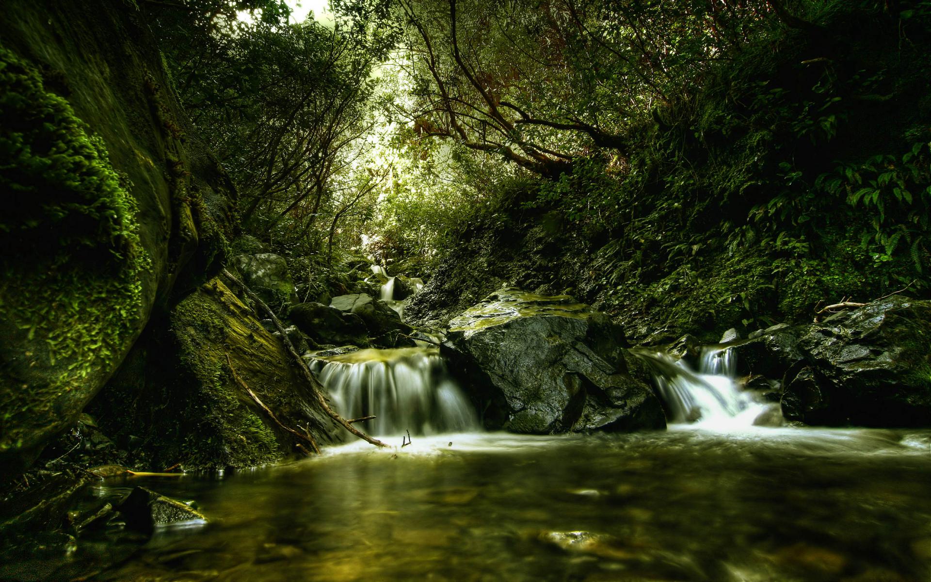 Лес, река, зелень, водопадик, особенная фотография 1920x1200