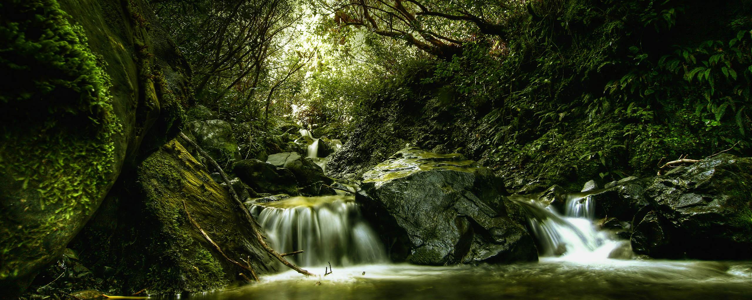 Лес, река, зелень, водопадик, особенная фотография 2560x1024